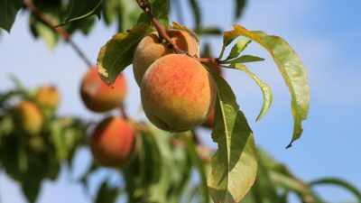 Hiraethにて投稿追加いたしました