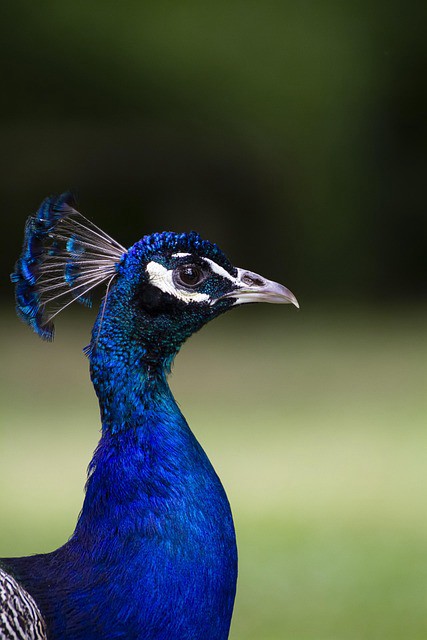 １１/１　HiraethにてBlogを投稿いたしました