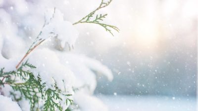 Hiraethにて投稿いたしました。