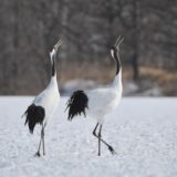 Hiraethにて投稿いたしました